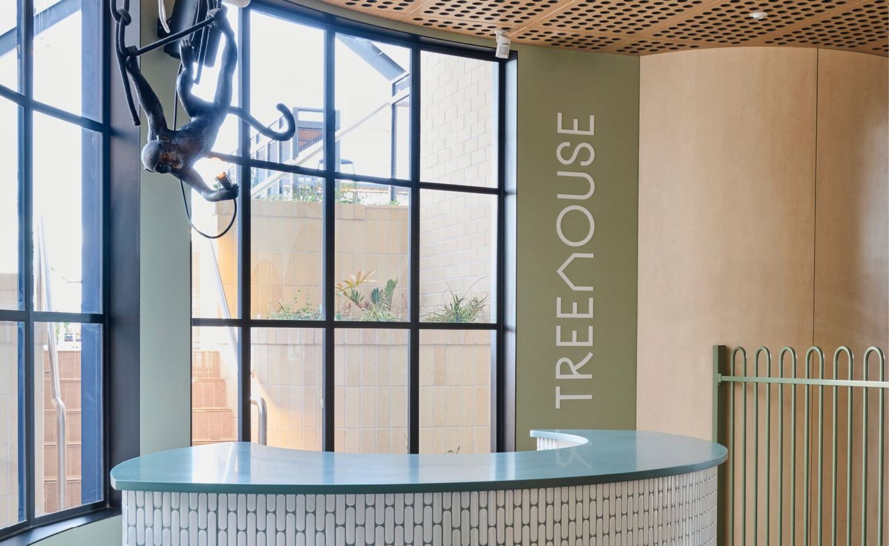 Treehouse entry and sign-in desk